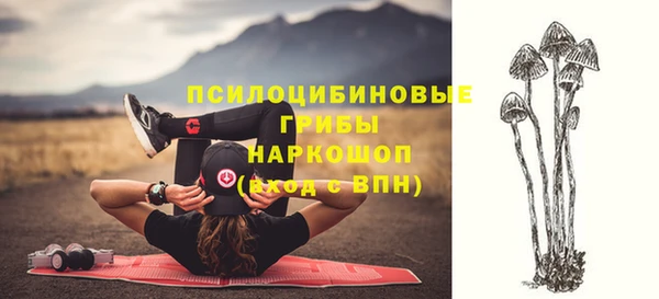 марки nbome Бородино