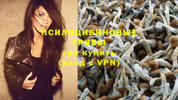 марки nbome Бородино