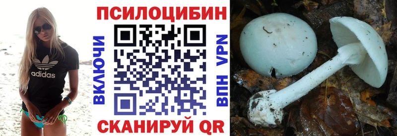 цена   blacksprut рабочий сайт  Псилоцибиновые грибы Magic Shrooms  Дальнереченск 
