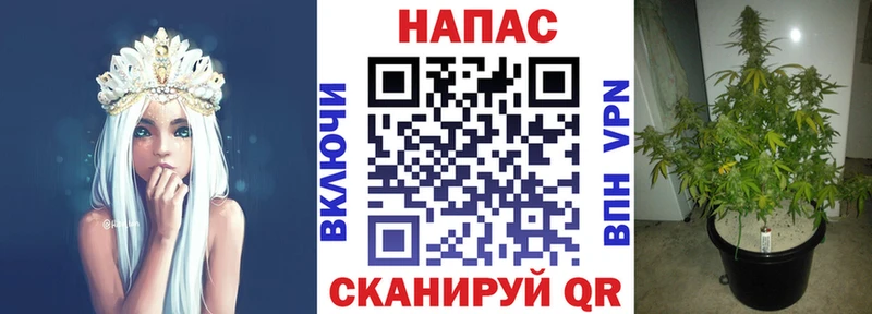 Марихуана конопля Дальнереченск